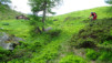 rappetal_049