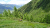 rappetal_050