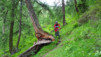 rappetal_051