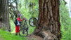 rappetal_052