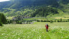rappetal_055