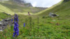 restipass_14_006