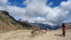 restipass_14_013