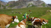 restipass_17_008