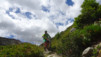 restipass_17_034