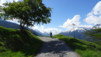 rosiereland_002