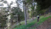 rosiereland_006