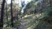 rotafen_17_001