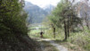 rotafen_19_0005