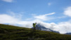 saflisch_17_010