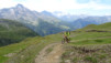 saflisch_17_013