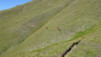 saflisch_17_033