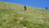 saflisch_17_041