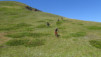saflisch_17_045