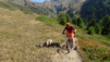 saflischpass_16_007