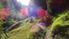 saflischpass_16_054
