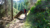 saflischpass_22_033