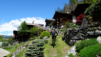 sarrasins-soussillon_018