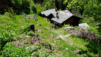 sarrasins-soussillon_019