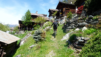 sarrasins_22_012