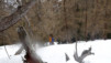 schafberg_16_028