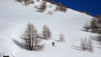 schwarzhorn_18_028