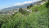 sept_bisses_001