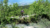 sept_bisses_003
