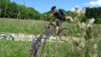 sept_bisses_020