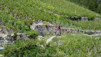 sept_bisses_021