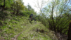 sevanne_21_009