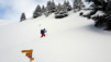 shlerondes_17_007