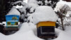 shlerondes_17_021