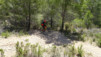 sierra_cortina_009