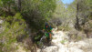 sierra_cortina_023