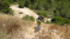 sierra_cortina_025