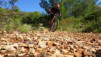 sierra_de_bernia_025