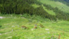 six-blanc_servay_14_036