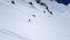 six_doe_012