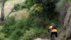sn2_alpujarras_006