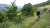 sn2_alpujarras_009