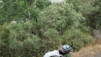 sn2_alpujarras_013