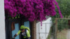 sn2_alpujarras_032