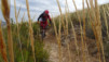 sn2_alpujarras_042