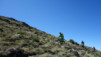 sn4_capileira_008