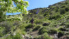 sn4_capileira_016