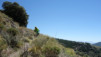 sn4_capileira_025