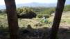 sn5_trevelez_006