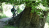 sn5_trevelez_015