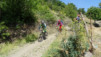 sn5_trevelez_016